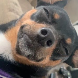 Meet your Posher, Jerimiah